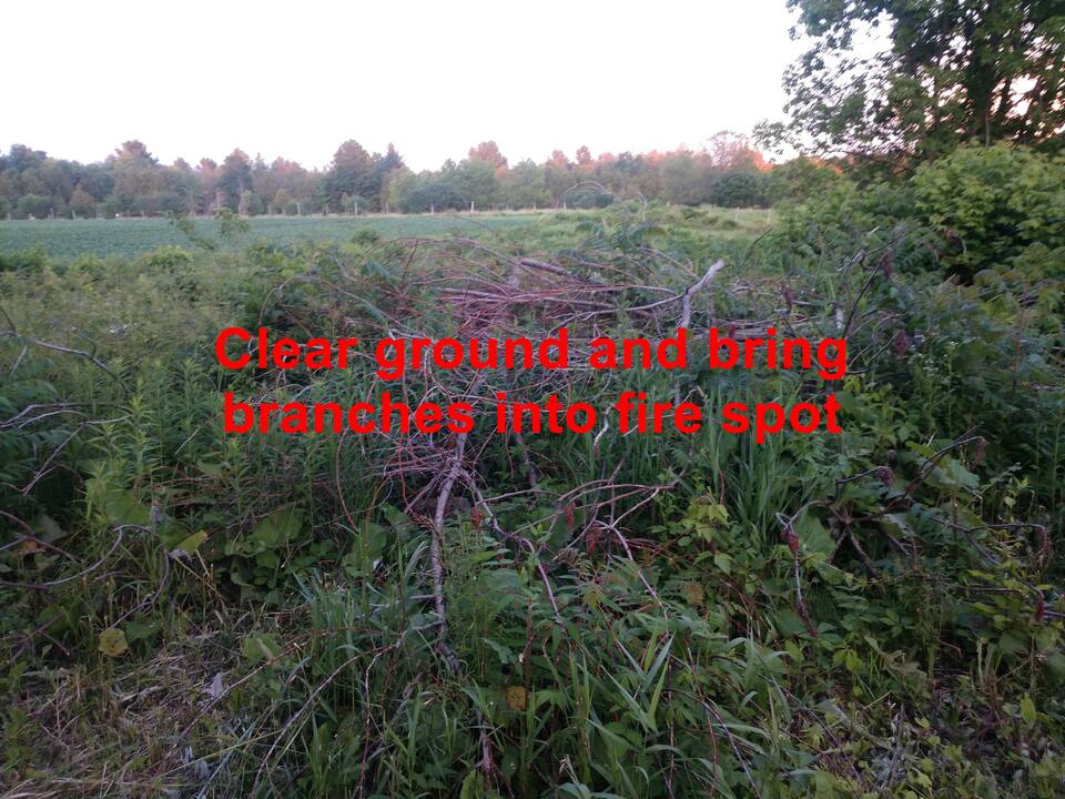 Task 3: 2026-06-21_22h27s08_4000x3000.jpg